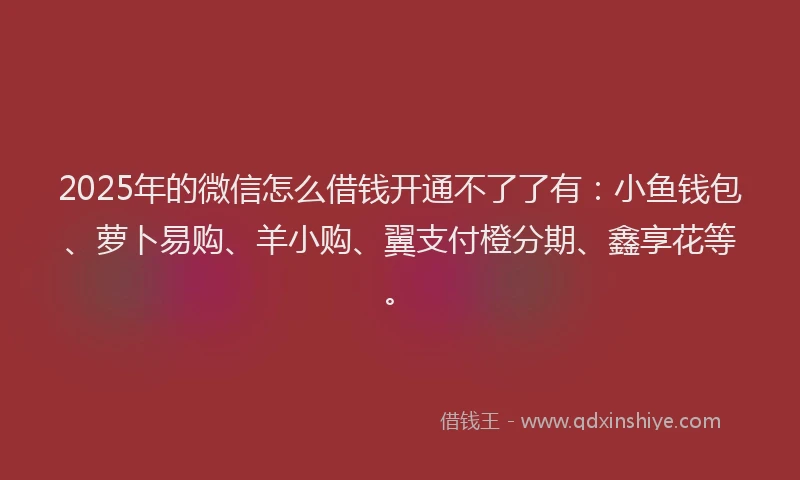 2025年的微信怎么借钱开通不了了有：小鱼钱包、萝卜易购、羊小购、翼支付橙分期、鑫享花等。