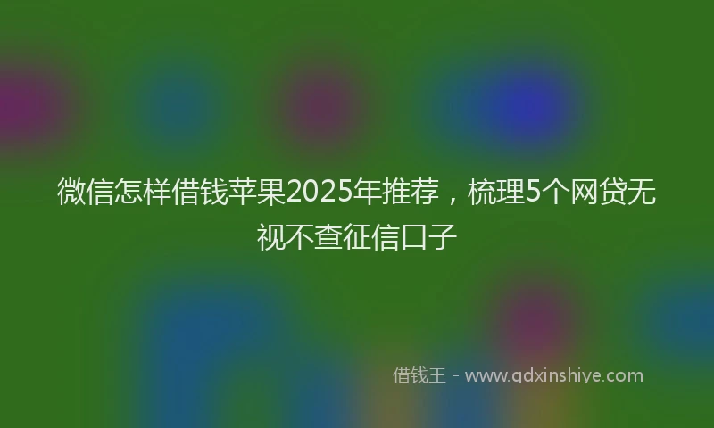 微信怎样借钱苹果2025年推荐，梳理5个网贷无视不查征信口子