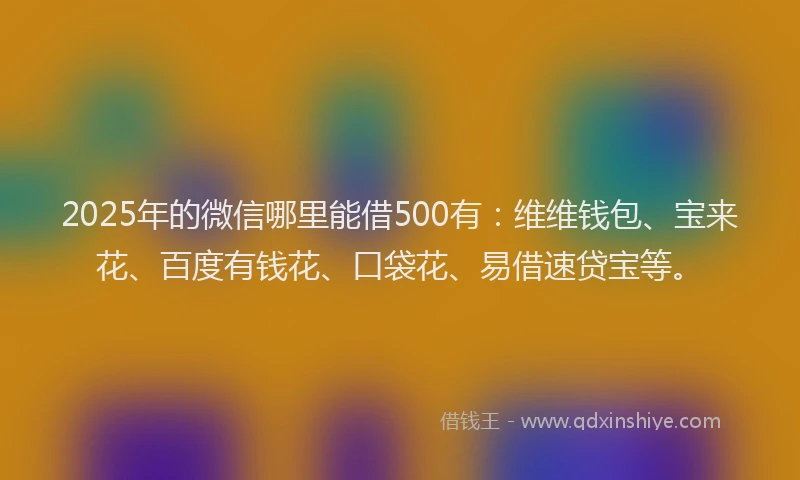2025年的微信哪里能借500有：维维钱包、宝来花、百度有钱花、口袋花、易借速贷宝等。