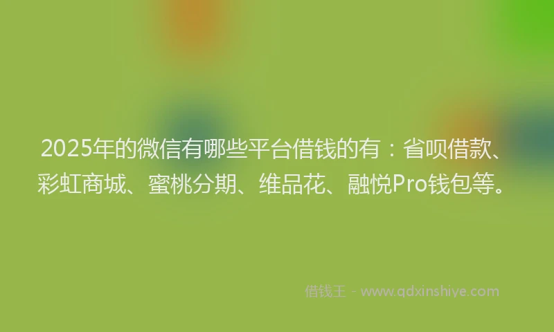 2025年的微信有哪些平台借钱的有：省呗借款、彩虹商城、蜜桃分期、维品花、融悦Pro钱包等。