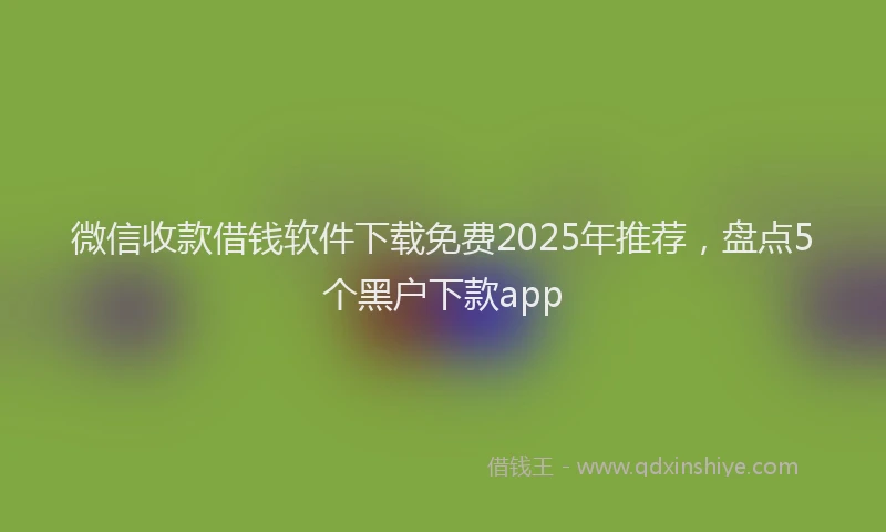 微信收款借钱软件下载免费2025年推荐，盘点5个黑户下款app