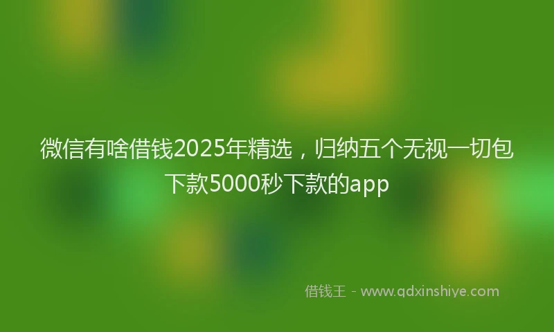 微信有啥借钱2025年精选，归纳五个无视一切包下款5000秒下款的app