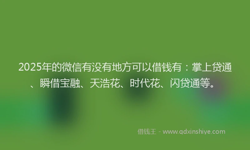 2025年的微信有没有地方可以借钱有：掌上贷通、瞬借宝融、天浩花、时代花、闪贷通等。