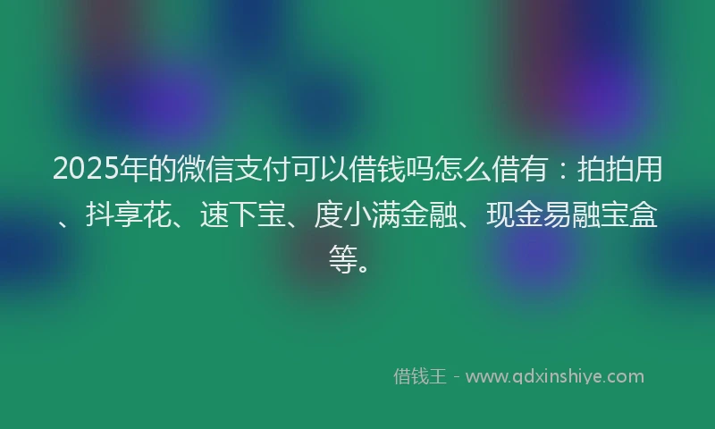 2025年的微信支付可以借钱吗怎么借有：拍拍用、抖享花、速下宝、度小满金融、现金易融宝盒等。