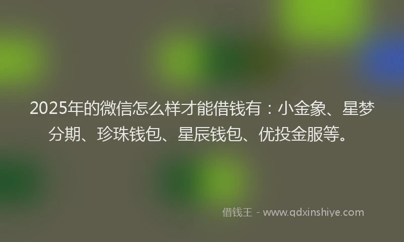 2025年的微信怎么样才能借钱有：小金象、星梦分期、珍珠钱包、星辰钱包、优投金服等。