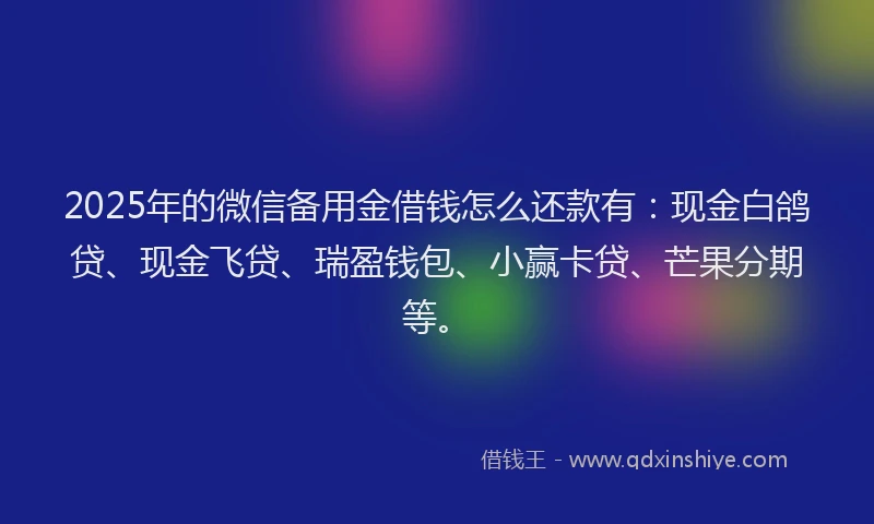 2025年的微信备用金借钱怎么还款有：现金白鸽贷、现金飞贷、瑞盈钱包、小赢卡贷、芒果分期等。