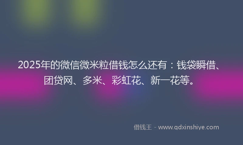 2025年的微信微米粒借钱怎么还有：钱袋瞬借、团贷网、多米、彩虹花、新一花等。