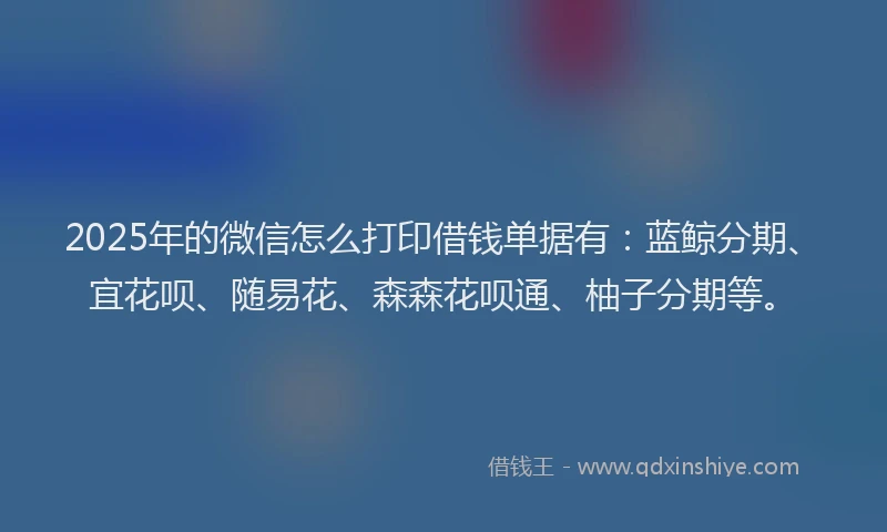 2025年的微信怎么打印借钱单据有：蓝鲸分期、宜花呗、随易花、森森花呗通、柚子分期等。