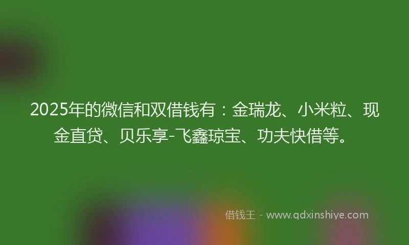 2025年的微信和双借钱有：金瑞龙、小米粒、现金直贷、贝乐享-飞鑫琼宝、功夫快借等。