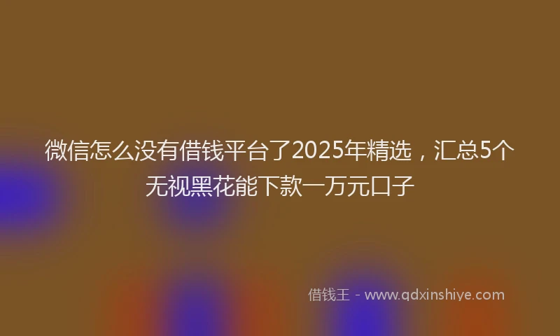 微信怎么没有借钱平台了2025年精选，汇总5个无视黑花能下款一万元口子