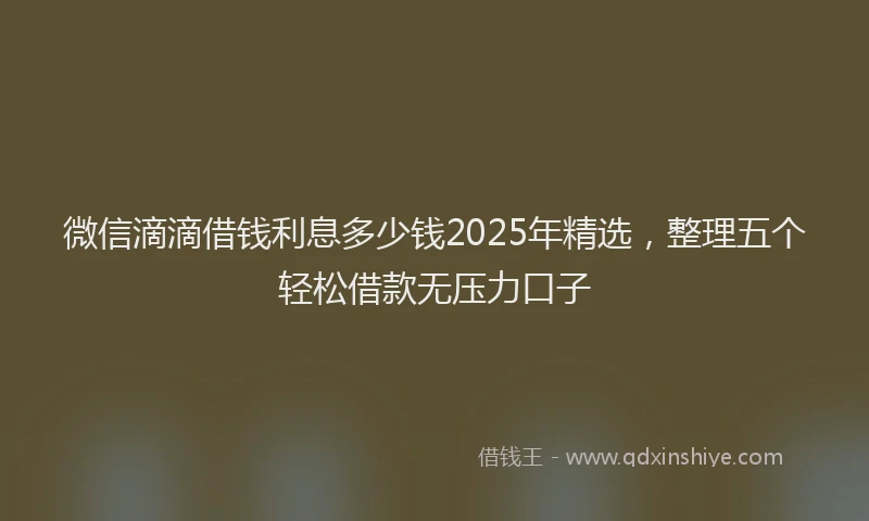 微信滴滴借钱利息多少钱2025年精选，整理五个轻松借款无压力口子