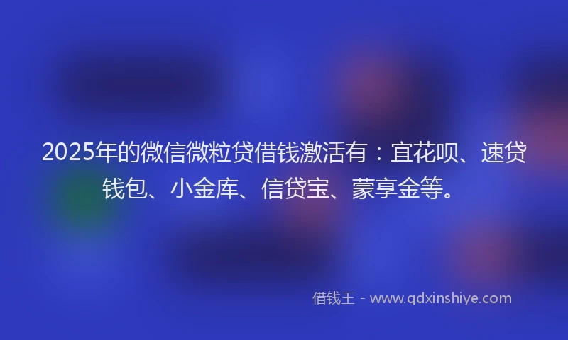 2025年的微信微粒贷借钱激活有：宜花呗、速贷钱包、小金库、信贷宝、蒙享金等。