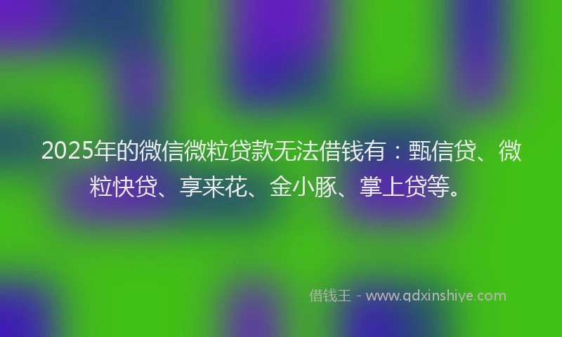 2025年的微信微粒贷款无法借钱有：甄信贷、微粒快贷、享来花、金小豚、掌上贷等。