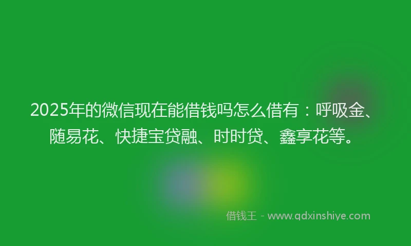 2025年的微信现在能借钱吗怎么借有：呼吸金、随易花、快捷宝贷融、时时贷、鑫享花等。