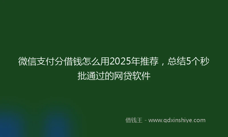 微信支付分借钱怎么用2025年推荐，总结5个秒批通过的网贷软件