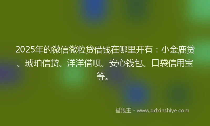 2025年的微信微粒贷借钱在哪里开有：小金鹿贷、琥珀信贷、洋洋借呗、安心钱包、口袋信用宝等。