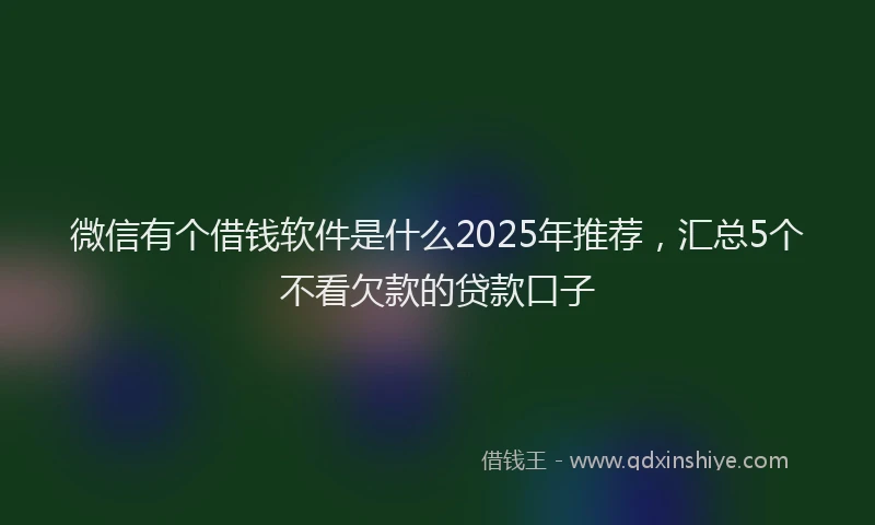微信有个借钱软件是什么2025年推荐，汇总5个不看欠款的贷款口子