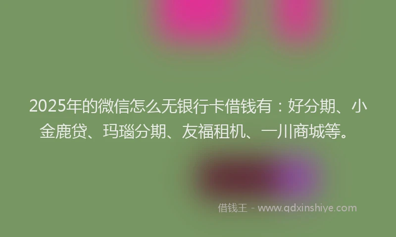 2025年的微信怎么无银行卡借钱有：好分期、小金鹿贷、玛瑙分期、友福租机、一川商城等。