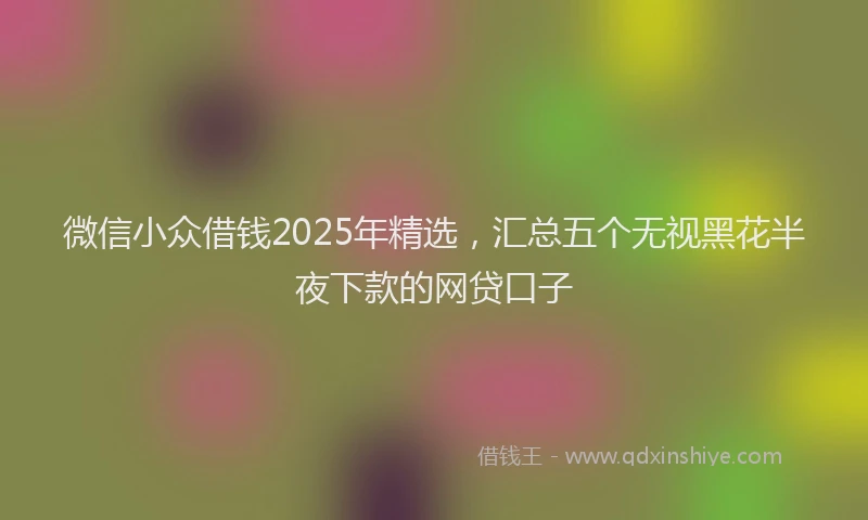 微信小众借钱2025年精选，汇总五个无视黑花半夜下款的网贷口子