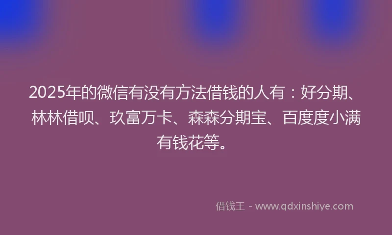 2025年的微信有没有方法借钱的人有：好分期、林林借呗、玖富万卡、森森分期宝、百度度小满有钱花等。