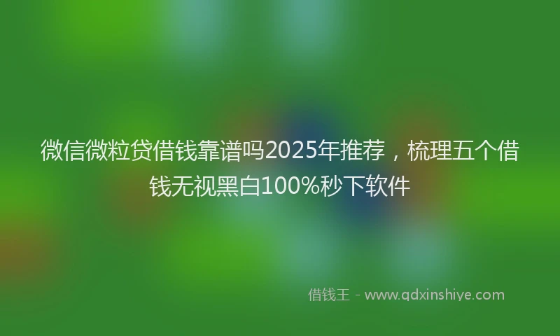 微信微粒贷借钱靠谱吗2025年推荐，梳理五个借钱无视黑白100%秒下软件