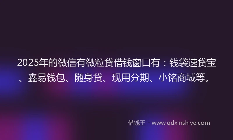 2025年的微信有微粒贷借钱窗口有：钱袋速贷宝、鑫易钱包、随身贷、现用分期、小铭商城等。