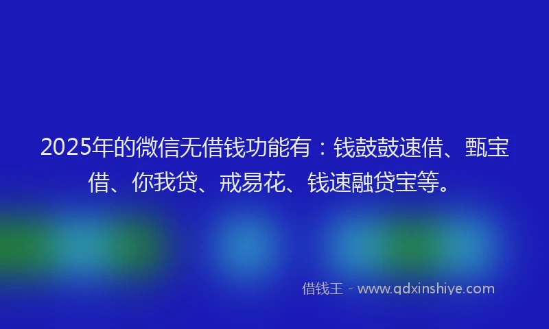 2025年的微信无借钱功能有：钱鼓鼓速借、甄宝借、你我贷、戒易花、钱速融贷宝等。