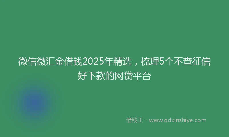 微信微汇金借钱2025年精选，梳理5个不查征信好下款的网贷平台