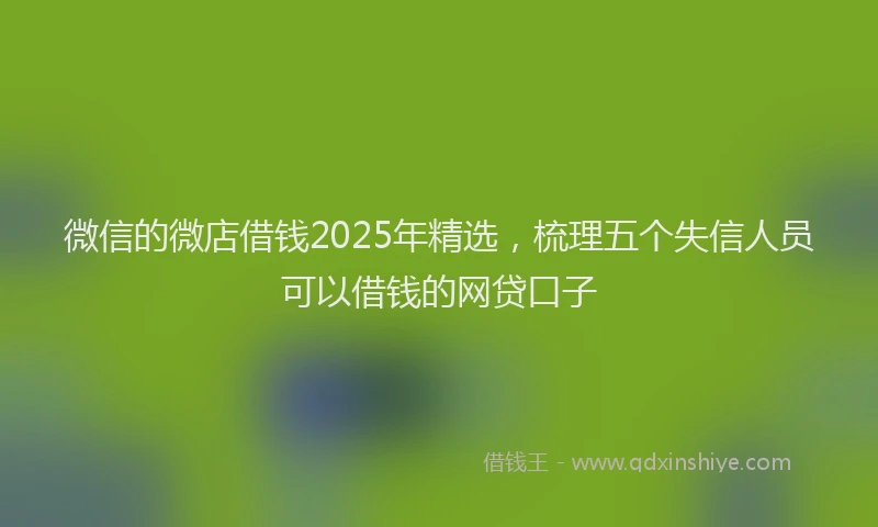 微信的微店借钱2025年精选，梳理五个失信人员可以借钱的网贷口子