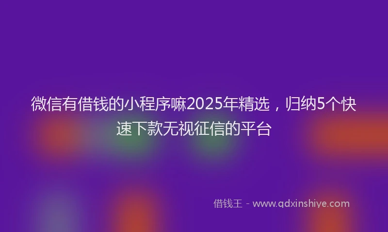 微信有借钱的小程序嘛2025年精选，归纳5个快速下款无视征信的平台