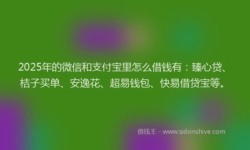 2025年的微信和支付宝里怎么借钱有：臻心贷、桔子买单、安逸花、超易钱包、快易借贷宝等。
