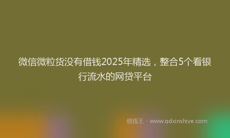 微信微粒货没有借钱2025年精选，整合5个看银行流水的网贷平台