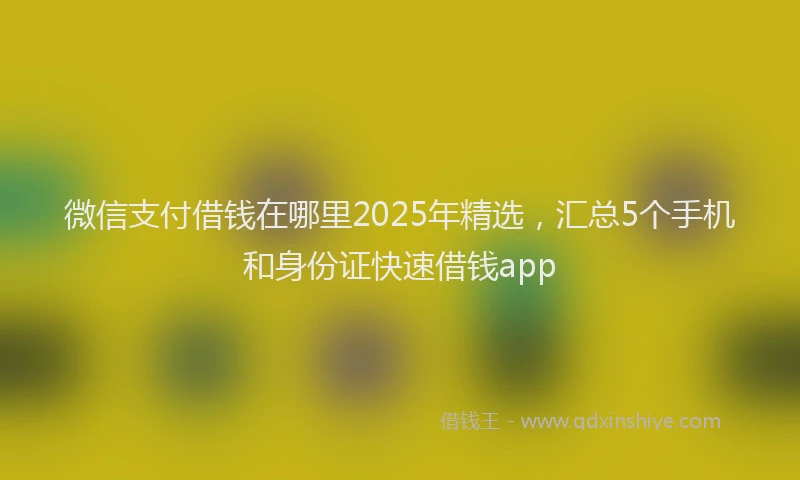 微信支付借钱在哪里2025年精选，汇总5个手机和身份证快速借钱app
