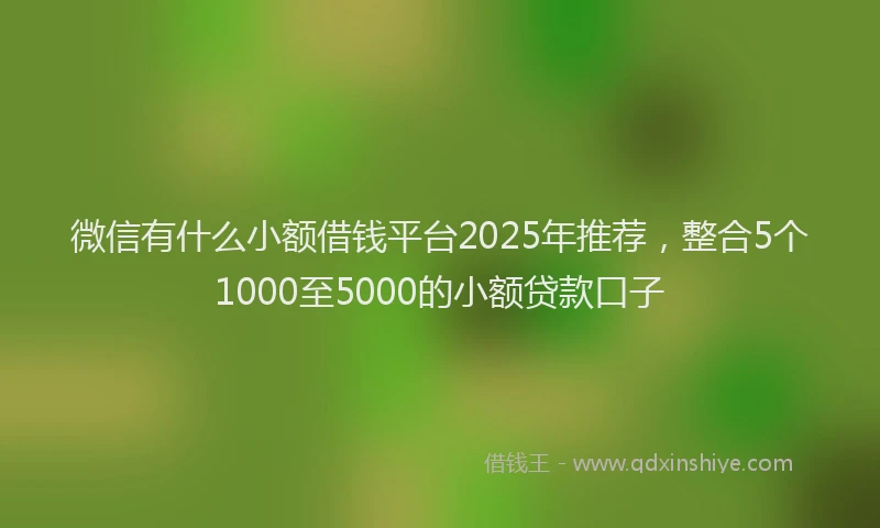 微信有什么小额借钱平台2025年推荐，整合5个1000至5000的小额贷款口子