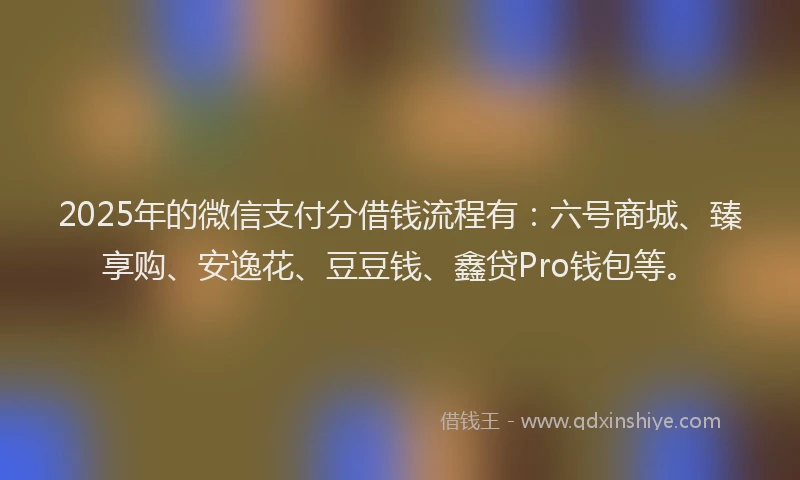 2025年的微信支付分借钱流程有：六号商城、臻享购、安逸花、豆豆钱、鑫贷Pro钱包等。