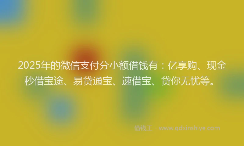 2025年的微信支付分小额借钱有：亿享购、现金秒借宝途、易贷通宝、速借宝、贷你无忧等。