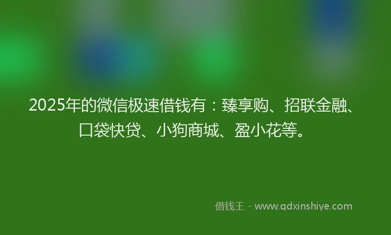 2025年的微信极速借钱有：臻享购、招联金融、口袋快贷、小狗商城、盈小花等。