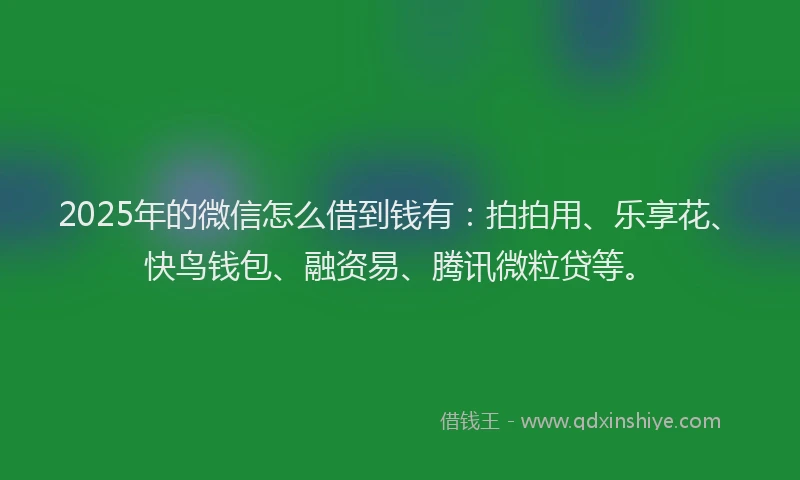 2025年的微信怎么借到钱有：拍拍用、乐享花、快鸟钱包、融资易、腾讯微粒贷等。