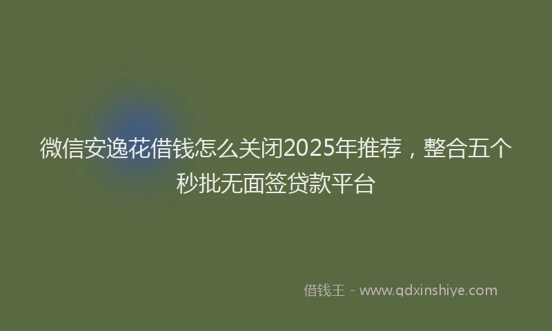 微信安逸花借钱怎么关闭2025年推荐，整合五个秒批无面签贷款平台