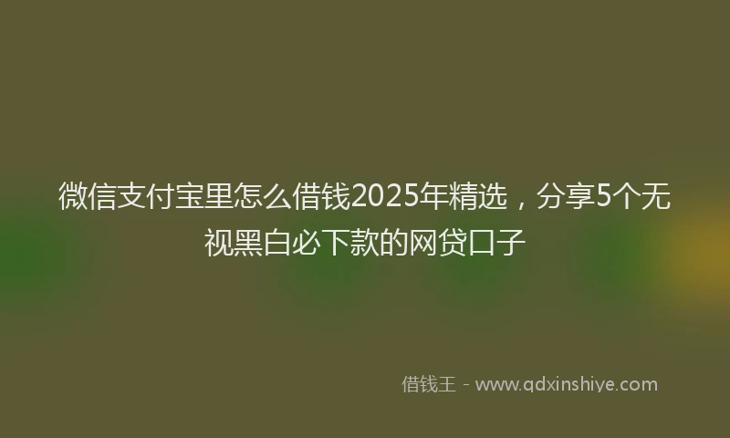 微信支付宝里怎么借钱2025年精选，分享5个无视黑白必下款的网贷口子
