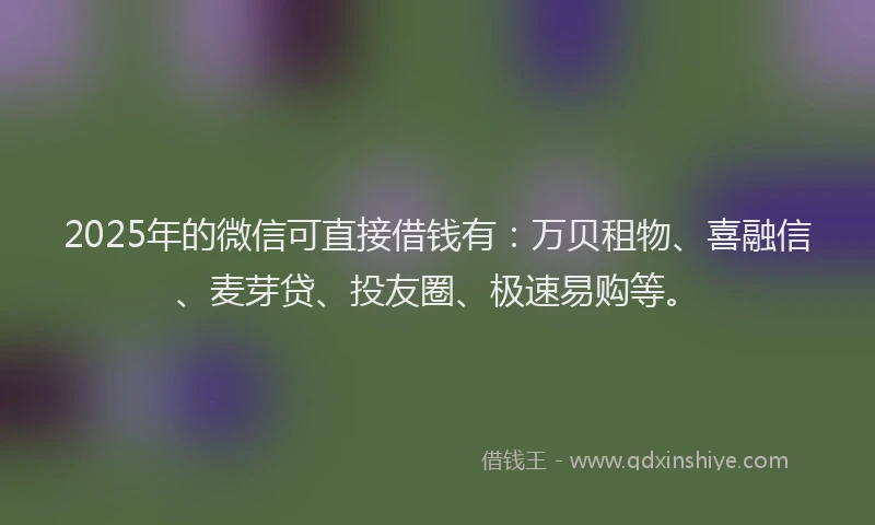 2025年的微信可直接借钱有：万贝租物、喜融信、麦芽贷、投友圈、极速易购等。