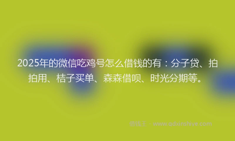 2025年的微信吃鸡号怎么借钱的有：分子贷、拍拍用、桔子买单、森森借呗、时光分期等。