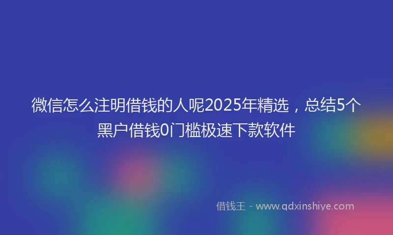 微信怎么注明借钱的人呢2025年精选，总结5个黑户借钱0门槛极速下款软件