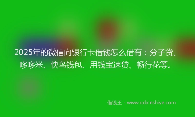 2025年的微信向银行卡借钱怎么借有：分子贷、哆哆米、快鸟钱包、用钱宝速贷、畅行花等。