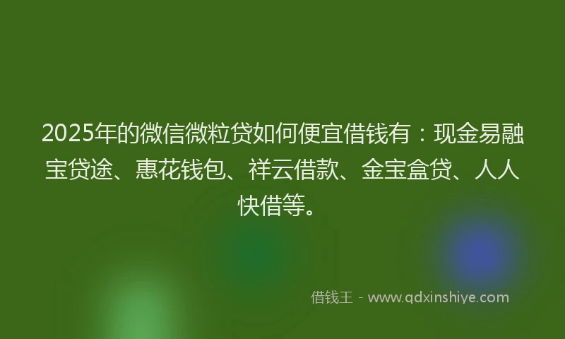 2025年的微信微粒贷如何便宜借钱有：现金易融宝贷途、惠花钱包、祥云借款、金宝盒贷、人人快借等。