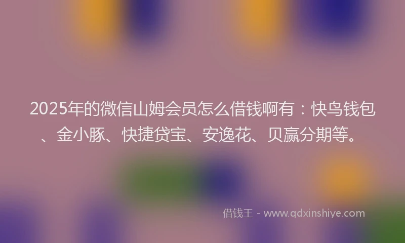 2025年的微信山姆会员怎么借钱啊有：快鸟钱包、金小豚、快捷贷宝、安逸花、贝赢分期等。