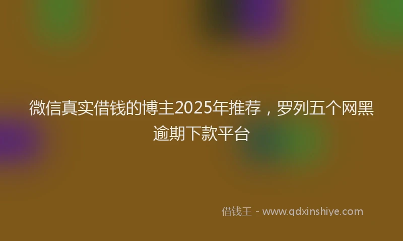 微信真实借钱的博主2025年推荐，罗列五个网黑逾期下款平台