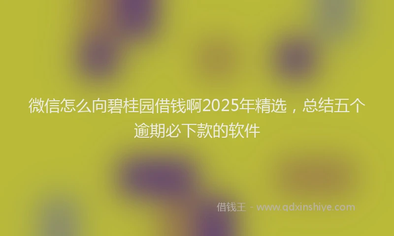 微信怎么向碧桂园借钱啊2025年精选，总结五个逾期必下款的软件