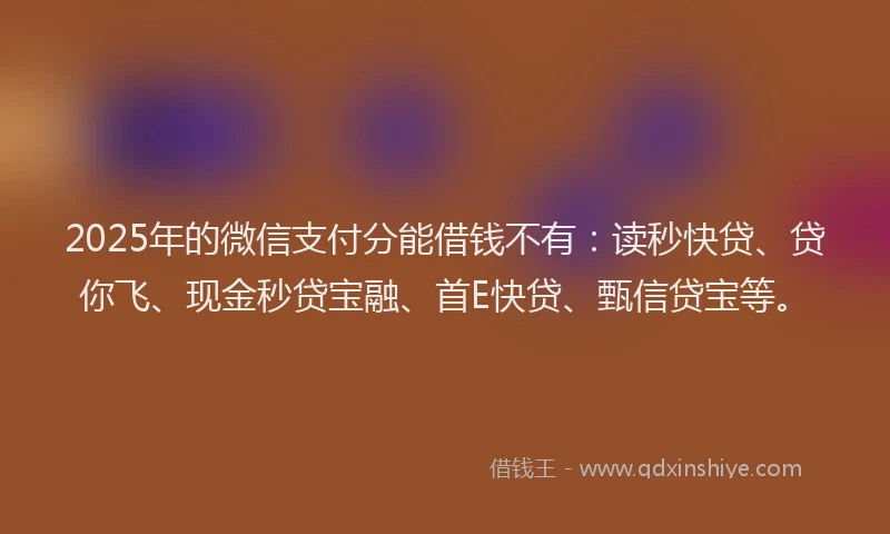 2025年的微信支付分能借钱不有：读秒快贷、贷你飞、现金秒贷宝融、首E快贷、甄信贷宝等。