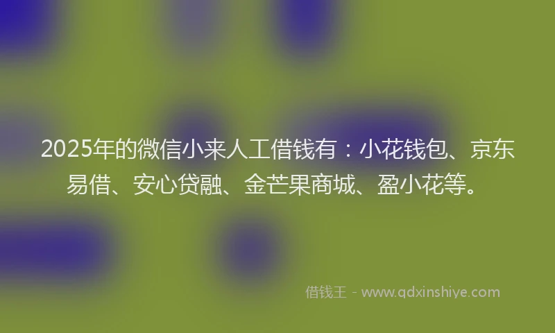 2025年的微信小来人工借钱有：小花钱包、京东易借、安心贷融、金芒果商城、盈小花等。